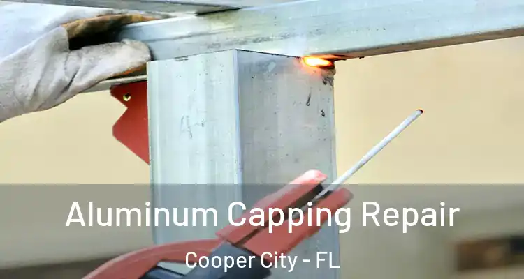  Aluminum Capping Repair Cooper City - FL