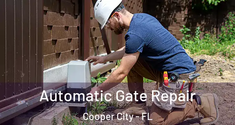  Automatic Gate Repair Cooper City - FL