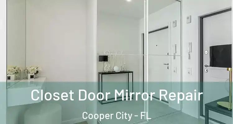  Closet Door Mirror Repair Cooper City - FL