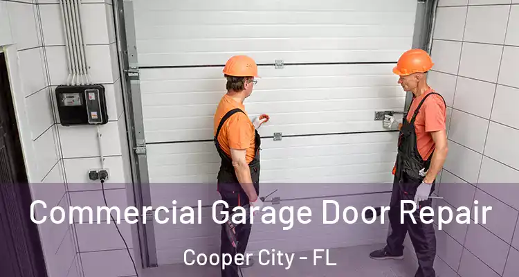  Commercial Garage Door Repair Cooper City - FL