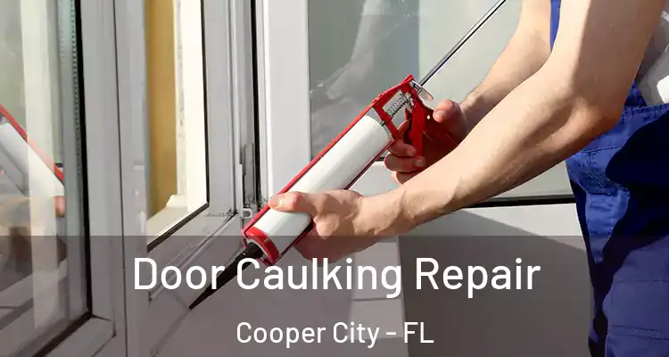  Door Caulking Repair Cooper City - FL