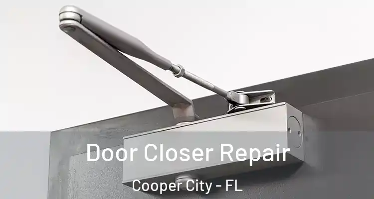  Door Closer Repair Cooper City - FL