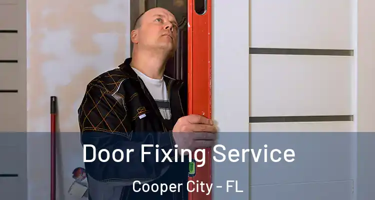  Door Fixing Service Cooper City - FL