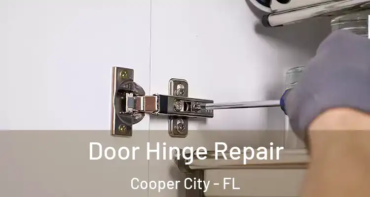  Door Hinge Repair Cooper City - FL