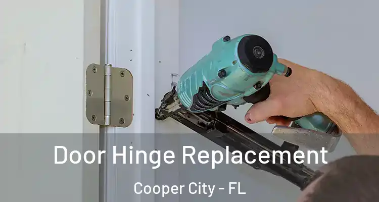  Door Hinge Replacement Cooper City - FL