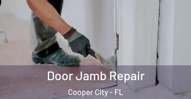  Door Jamb Repair Cooper City - FL