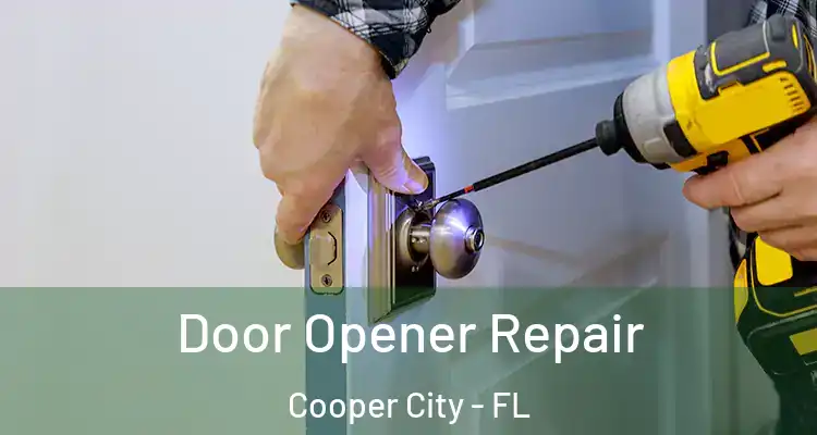  Door Opener Repair Cooper City - FL
