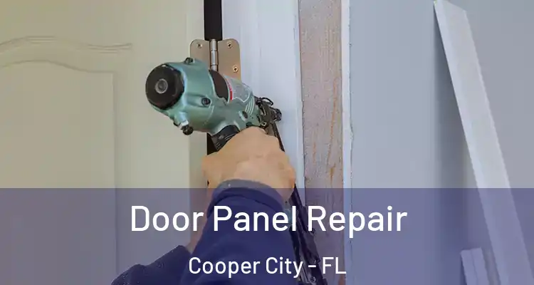  Door Panel Repair Cooper City - FL