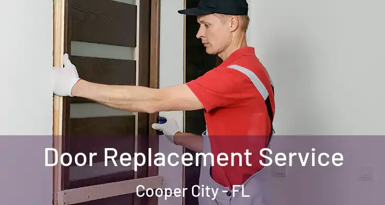  Door Replacement Service Cooper City - FL