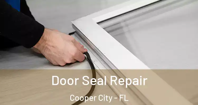  Door Seal Repair Cooper City - FL