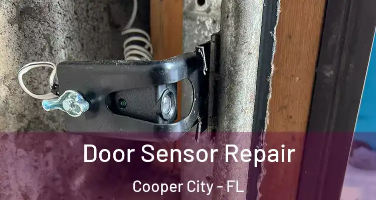  Door Sensor Repair Cooper City - FL