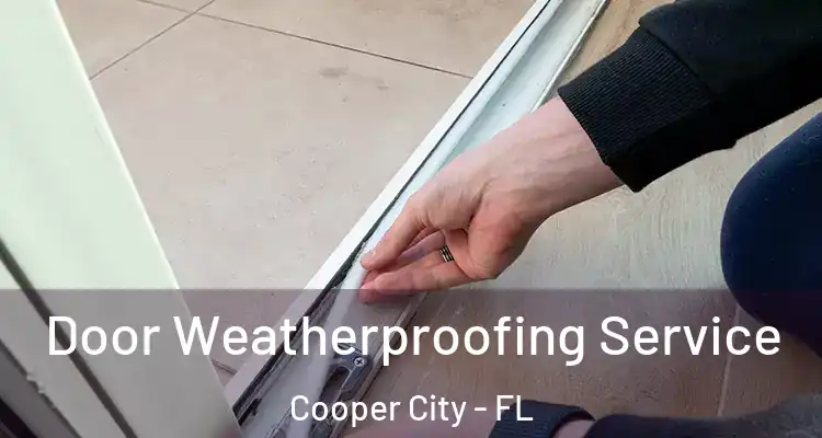  Door Weatherproofing Service Cooper City - FL