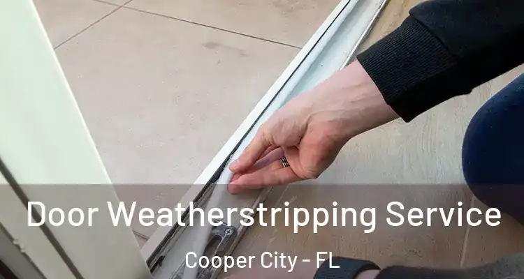  Door Weatherstripping Service Cooper City - FL