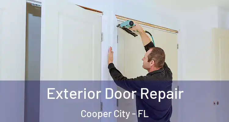  Exterior Door Repair Cooper City - FL