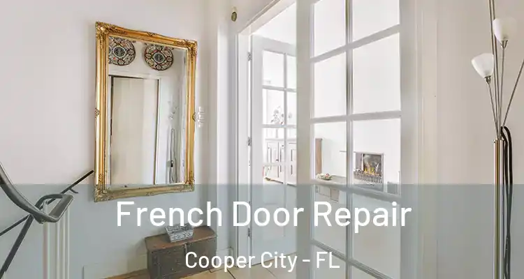  French Door Repair Cooper City - FL