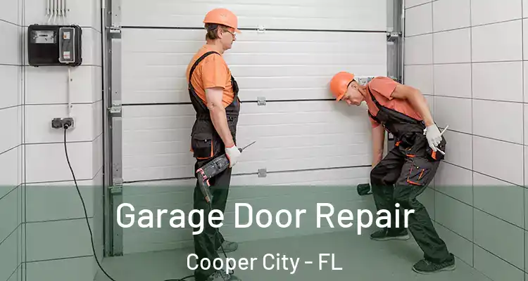  Garage Door Repair Cooper City - FL