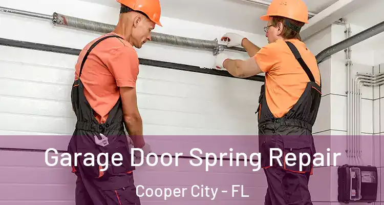  Garage Door Spring Repair Cooper City - FL