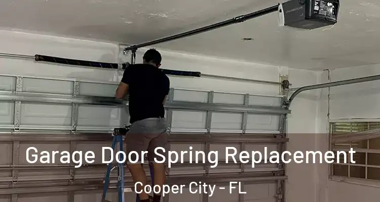  Garage Door Spring Replacement Cooper City - FL