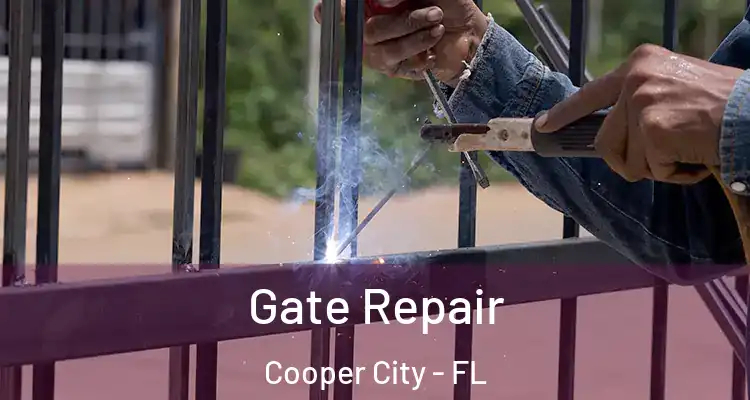  Gate Repair Cooper City - FL