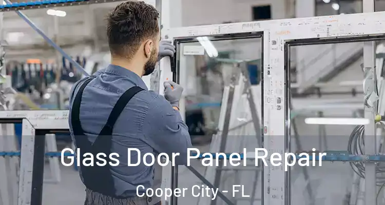  Glass Door Panel Repair Cooper City - FL
