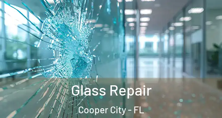  Glass Repair Cooper City - FL