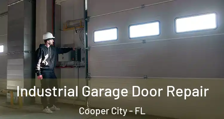  Industrial Garage Door Repair Cooper City - FL