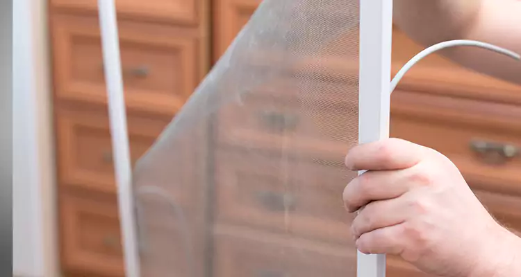 Privacy Mesh Screen Door Installation in Cooper City, FL