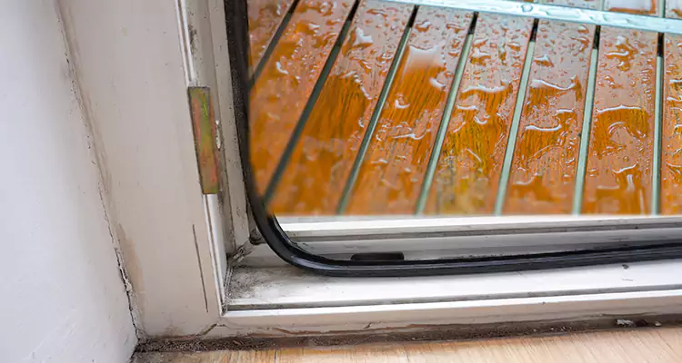 Water Leaking Wooden Patio Doors Repair in Cooper City, FL