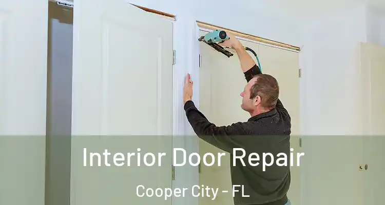  Interior Door Repair Cooper City - FL