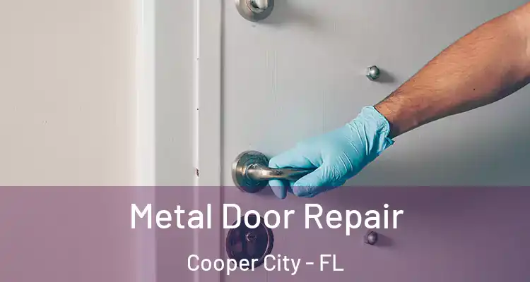  Metal Door Repair Cooper City - FL