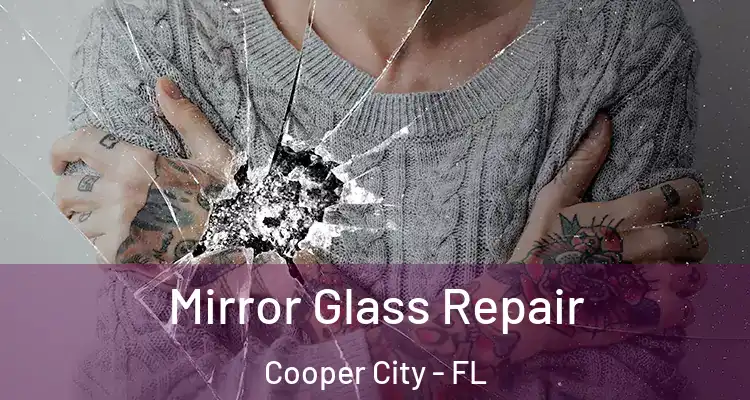  Mirror Glass Repair Cooper City - FL