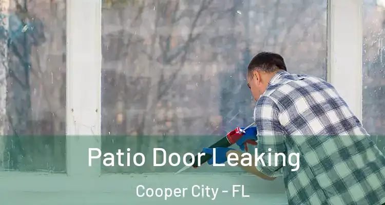  Patio Door Leaking Cooper City - FL