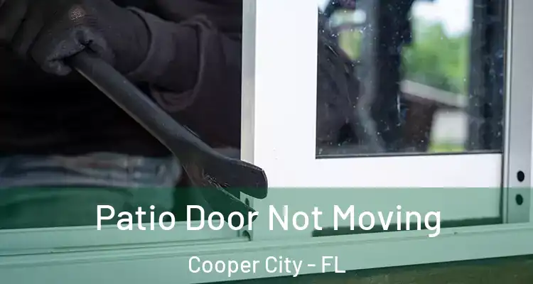  Patio Door Not Moving Cooper City - FL
