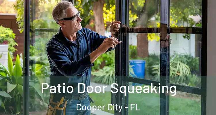 Patio Door Squeaking Cooper City - FL