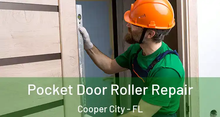  Pocket Door Roller Repair Cooper City - FL
