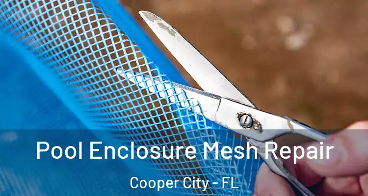  Pool Enclosure Mesh Repair Cooper City - FL