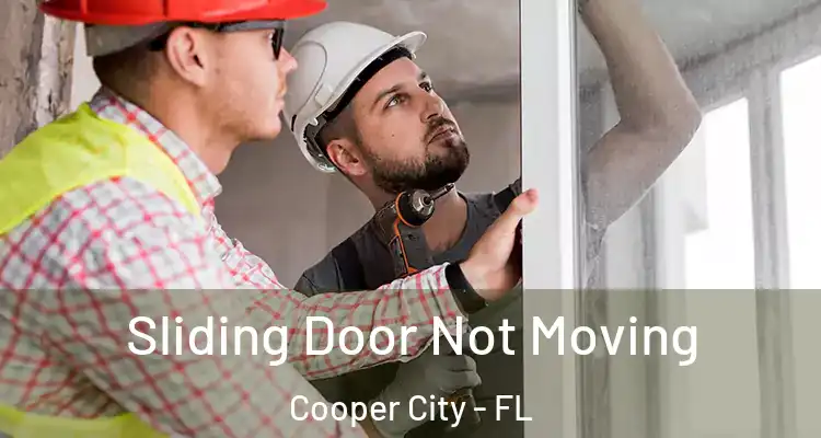  Sliding Door Not Moving Cooper City - FL