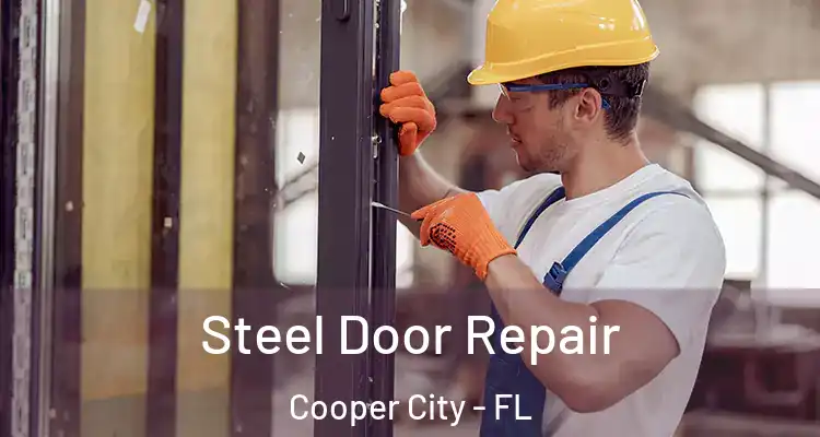  Steel Door Repair Cooper City - FL