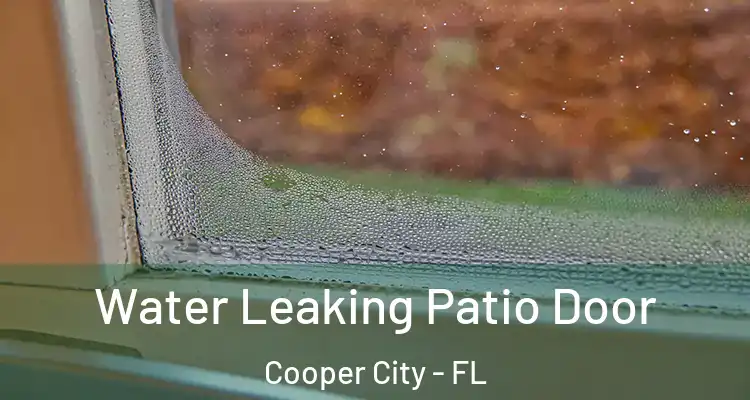  Water Leaking Patio Door Cooper City - FL