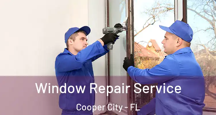  Window Repair Service Cooper City - FL