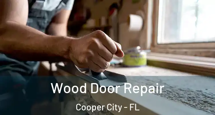  Wood Door Repair Cooper City - FL